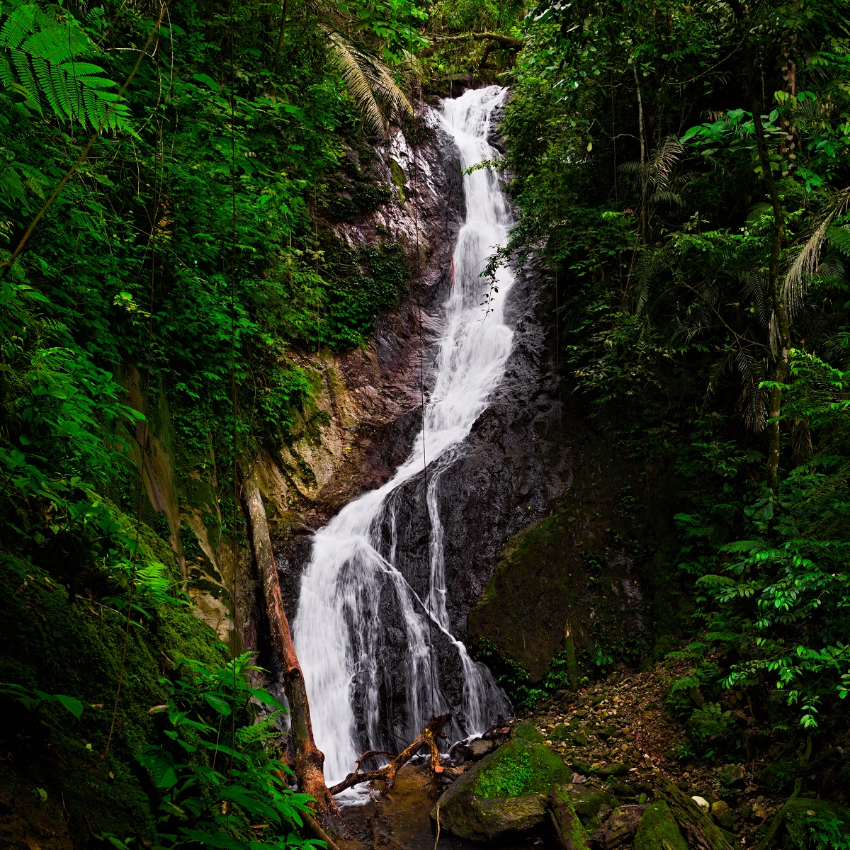 budokfalls2portraitweb.jpg