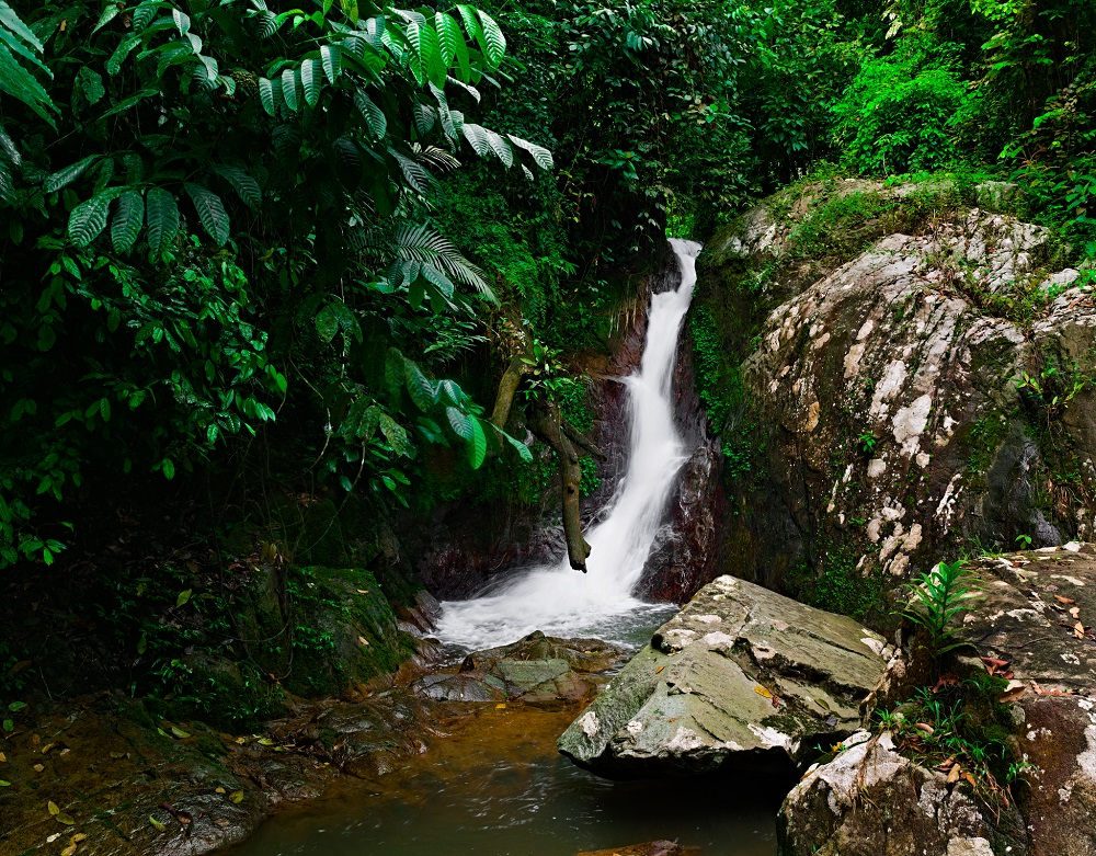 jelebufalls2web.jpg
