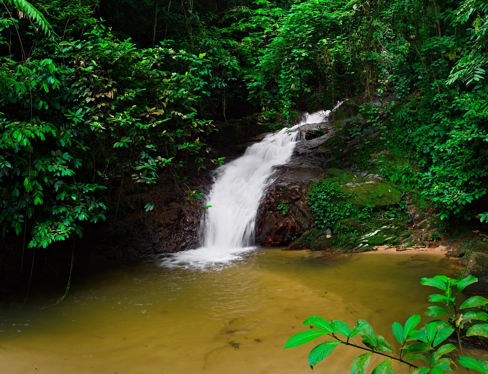 jelebufalls4web.jpg