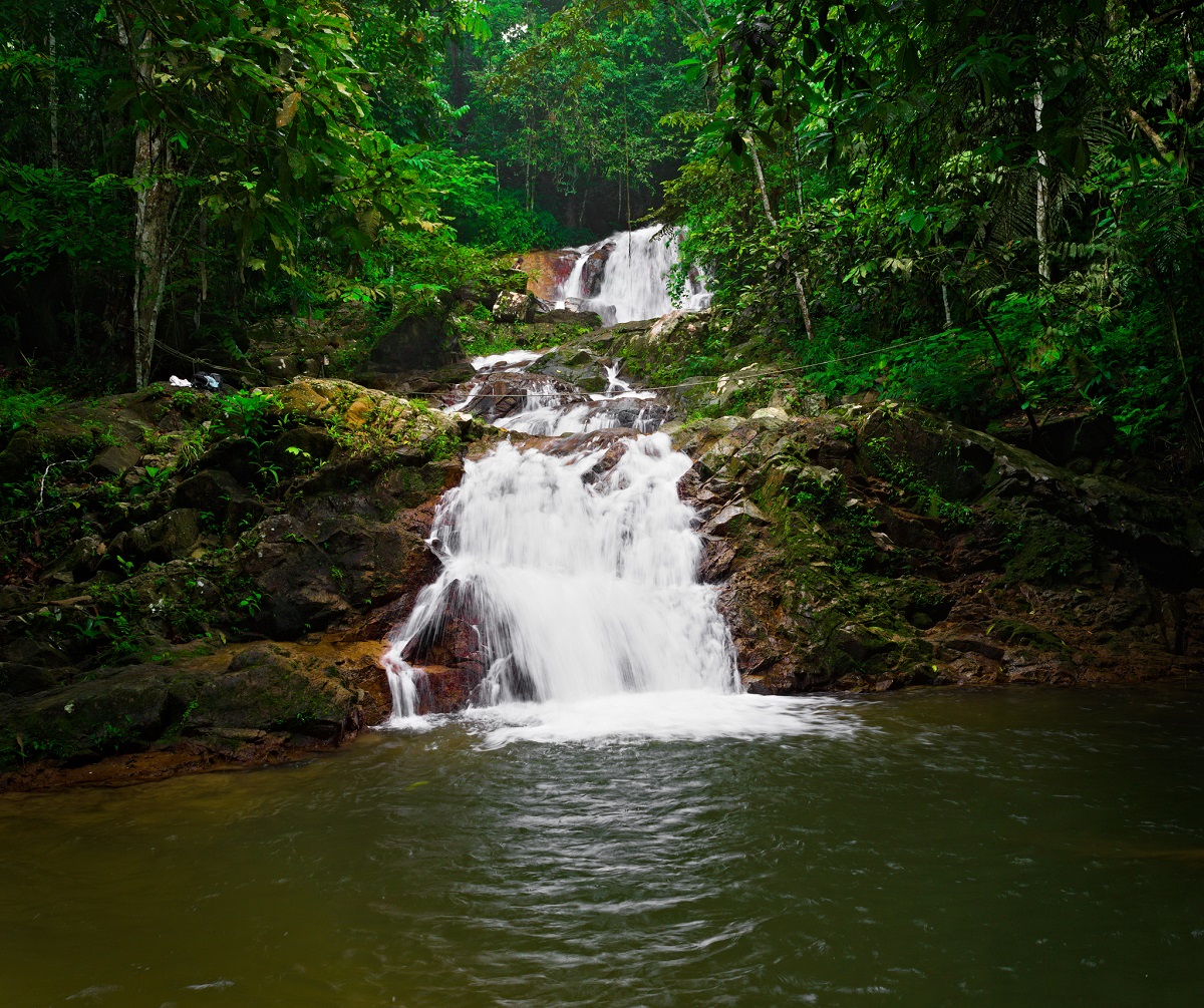 jeram3lapisportraitweb.jpg