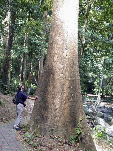 kekabu09.JPG