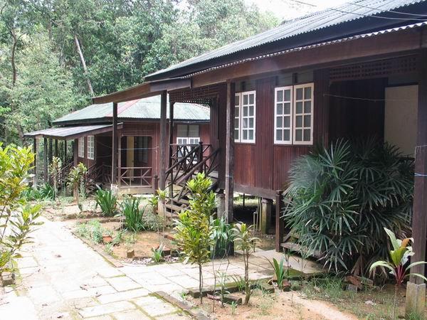 sekayu03.JPG