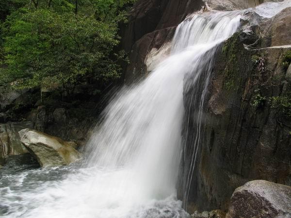 sekayu06.JPG
