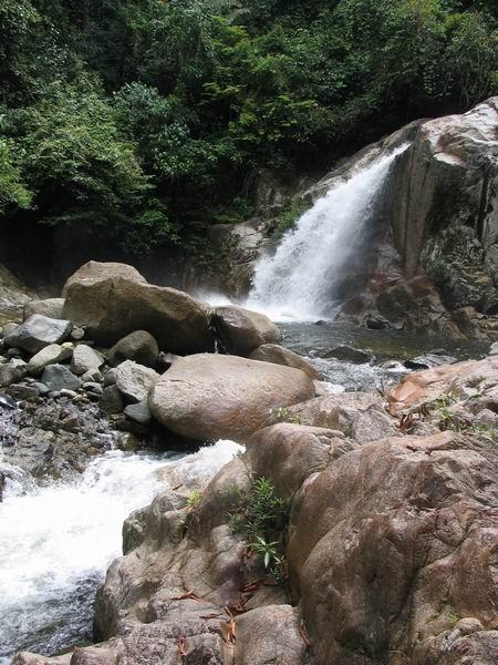 sekayu10.JPG