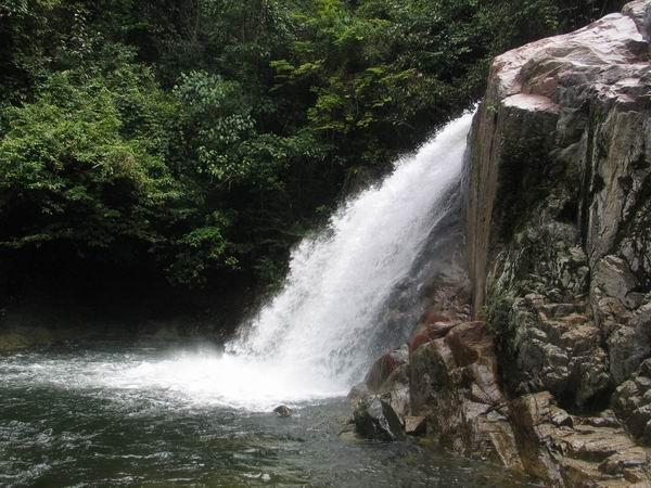 sekayu11.JPG