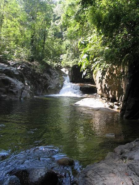 sekayu13.JPG