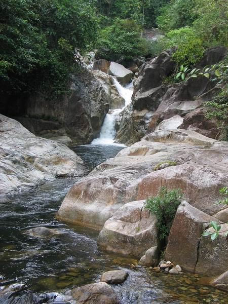 sekayu14.JPG