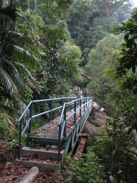 taiping17.JPG