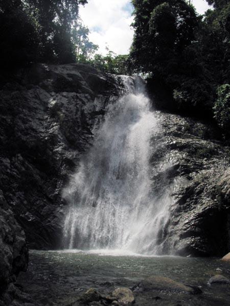 tanglir06.JPG
