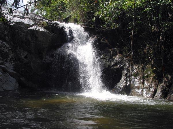 tanglir07.JPG