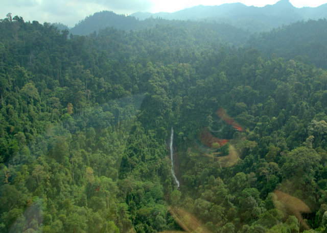 arial01.jpg
