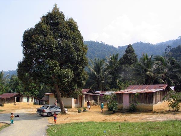 siong01.JPG