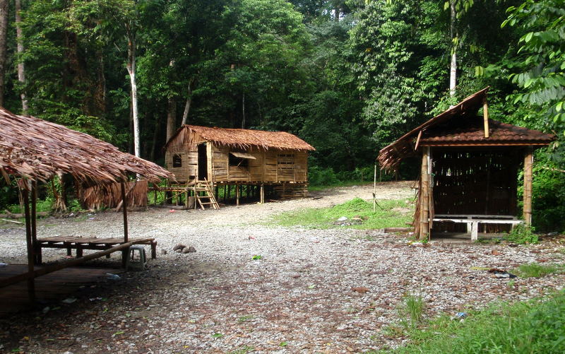 P1010004.JPG