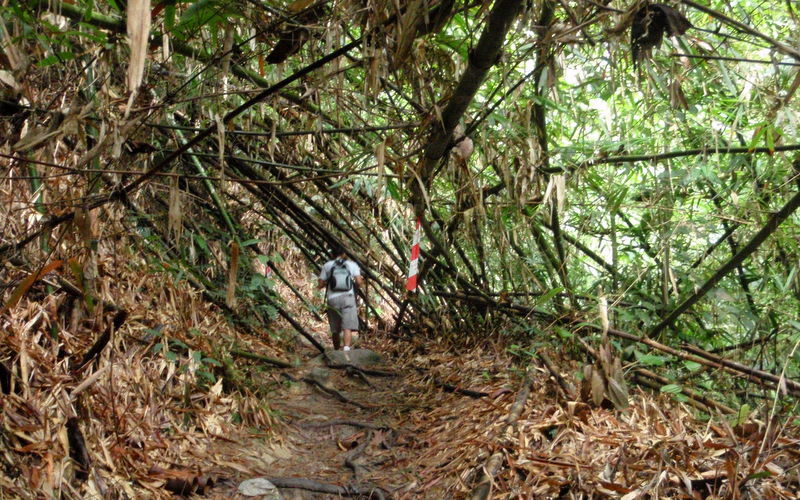 P1010013.JPG