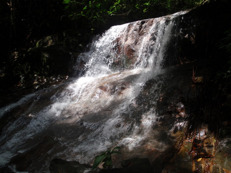 P1010034.JPG