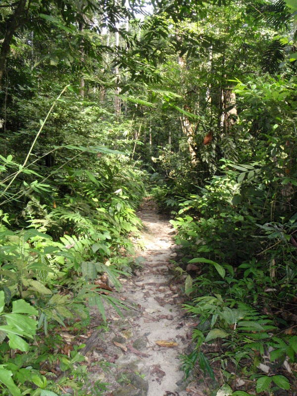 P7180004.JPG
