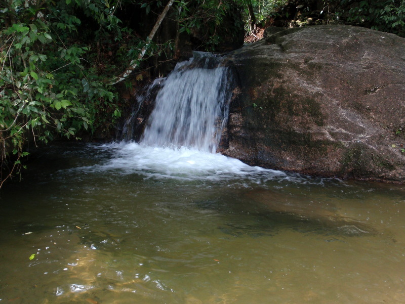 P1180008.JPG