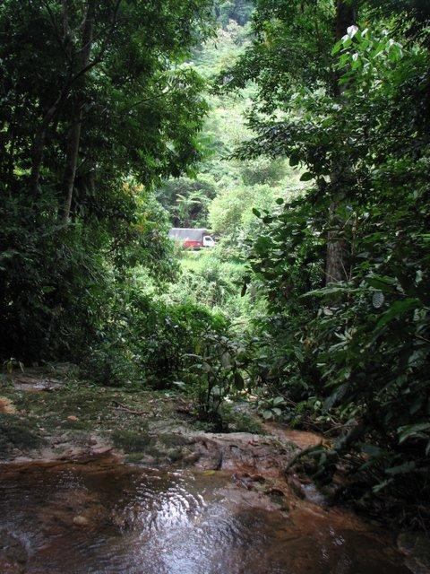IMG_5187.JPG