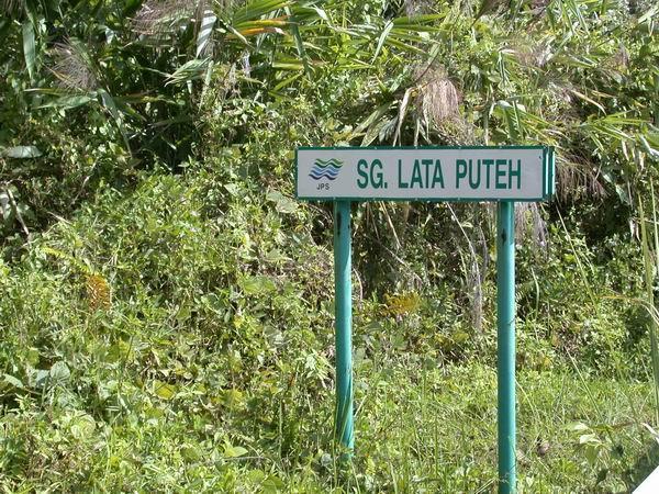 lataputeh02.JPG