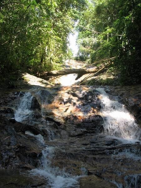 latakala05.JPG