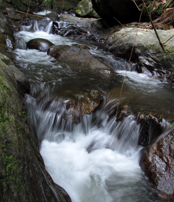 IMG_3094.JPG