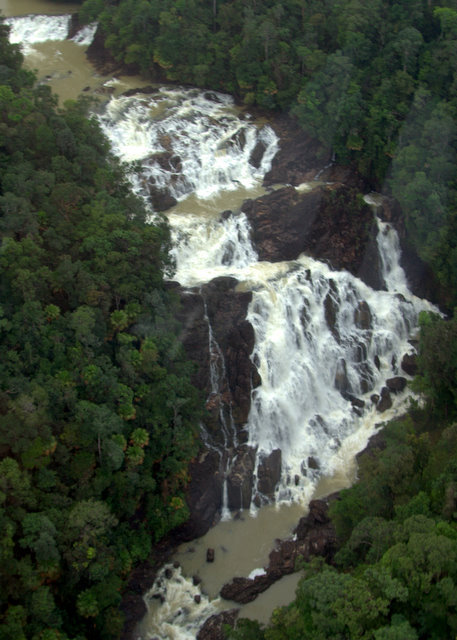 Buaya_Sangkut-1.jpg