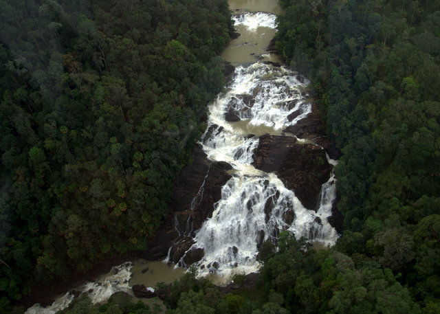 Buaya_Sangkut-2.jpg