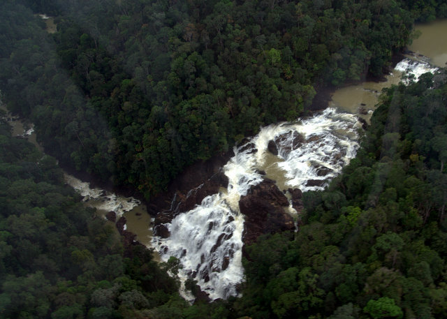 Buaya_Sangkut-3.jpg