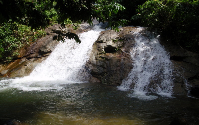 PA260006.JPG