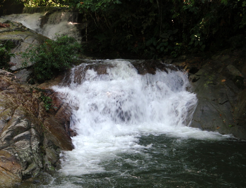 PA260014.JPG