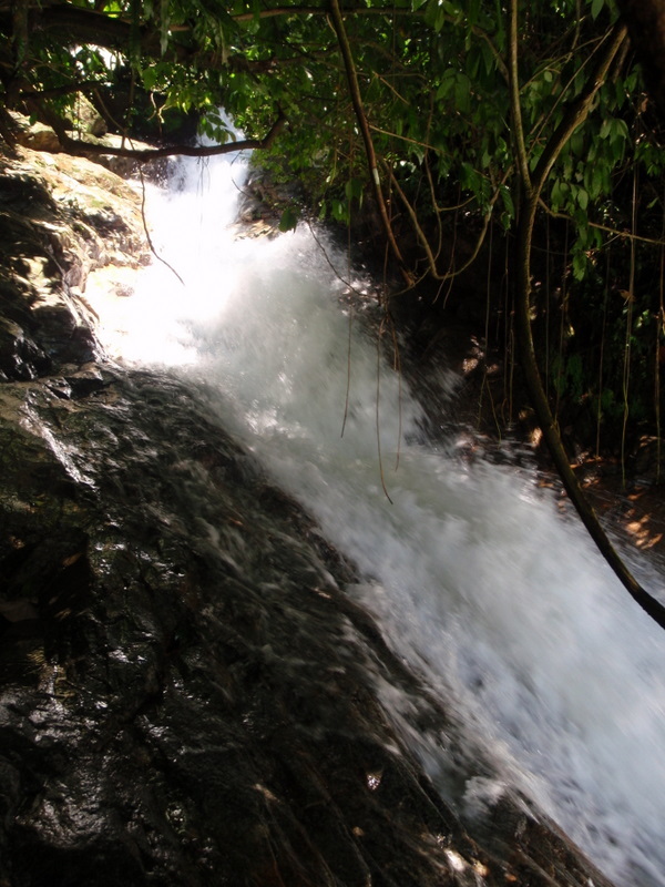 PA260026.JPG