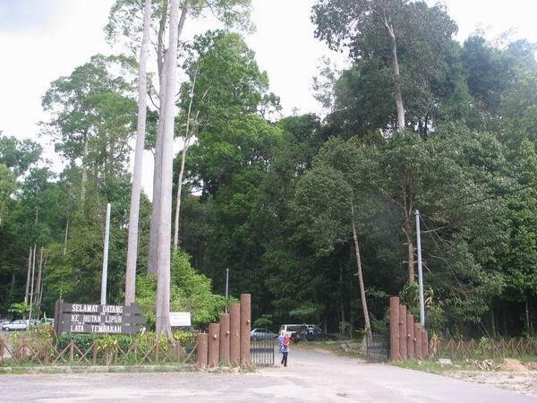 tembakah02.JPG