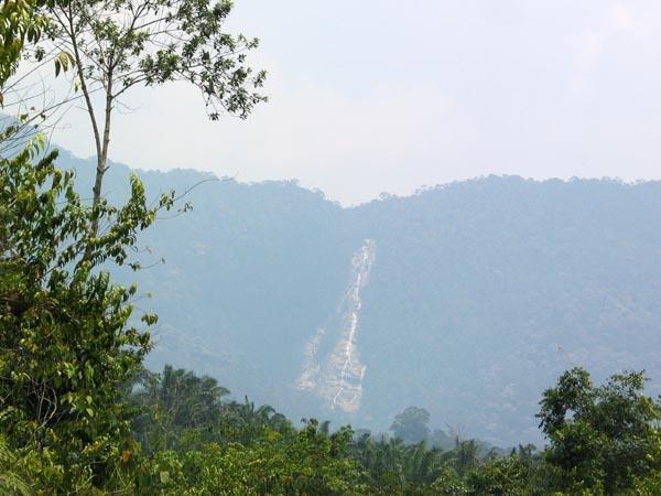 cemerong02.jpg