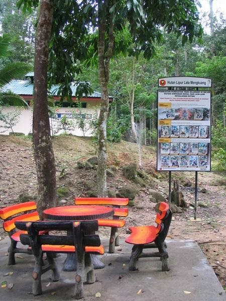mengkuang02.JPG