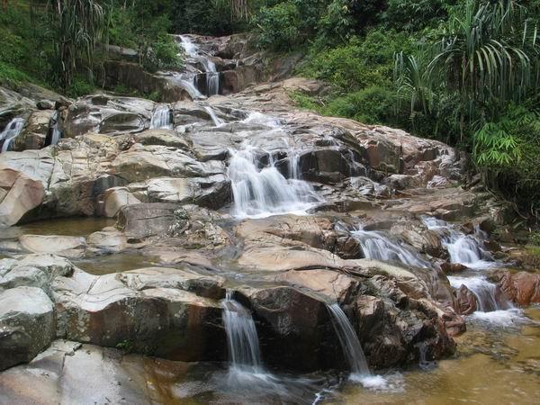 mengkuang03.JPG