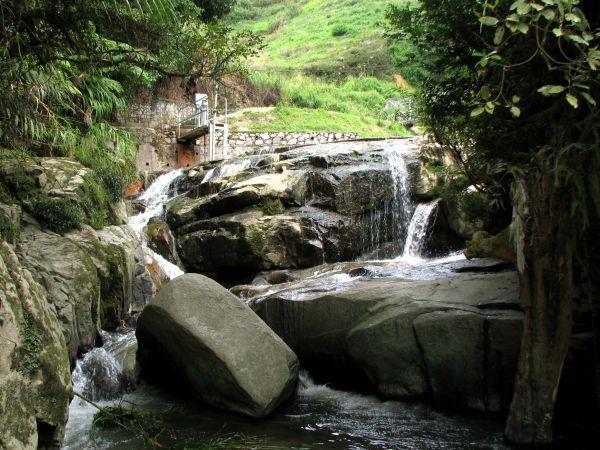 robinson04.JPG