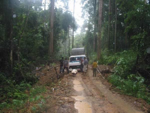 selai04.JPG