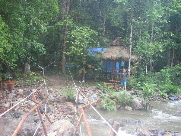 selai05.JPG