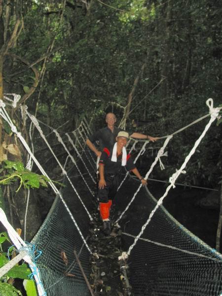 selai06.JPG