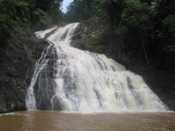 selai08.JPG