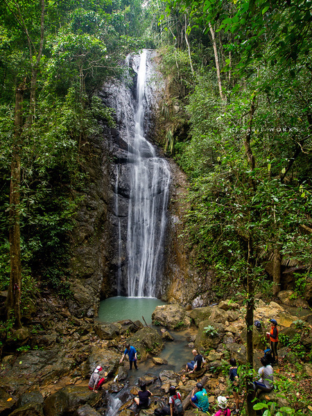 takah-pandan.jpg