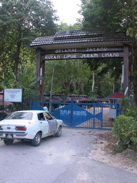 linang01-001.jpg