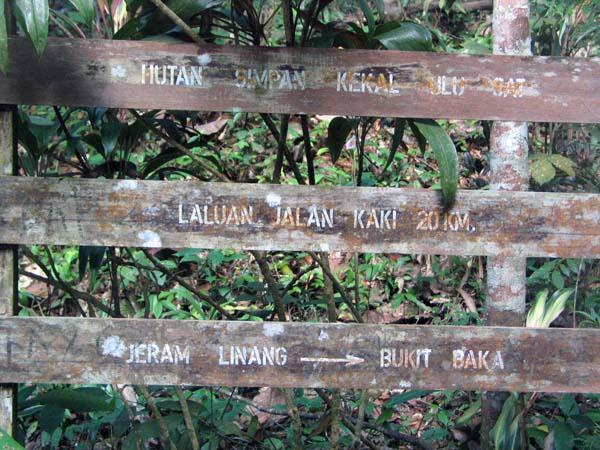 linang03.JPG