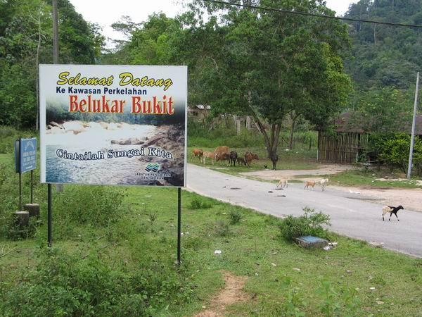 belukar01.JPG