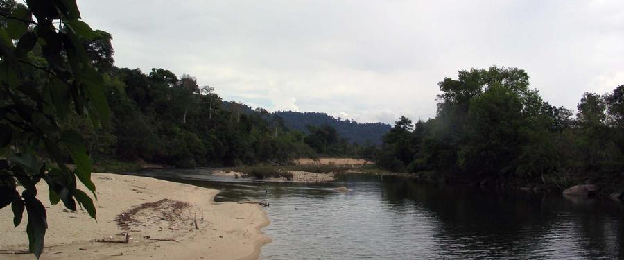belukar06b.jpg