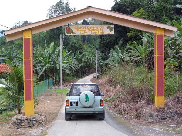 lembik02.JPG