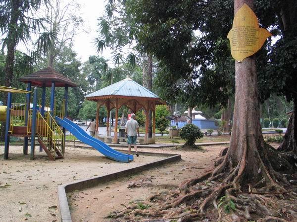 peranginsik03.JPG