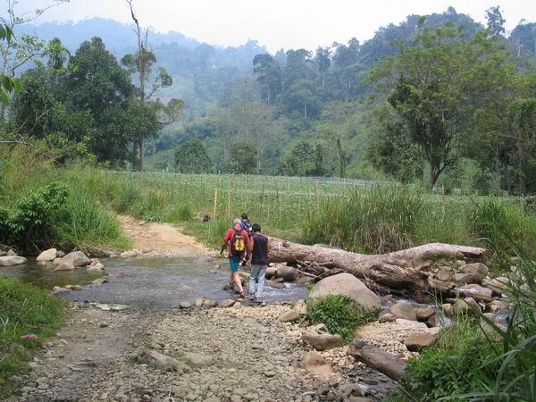 cemperoh02.JPG