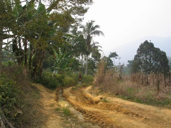 cemperoh03.JPG
