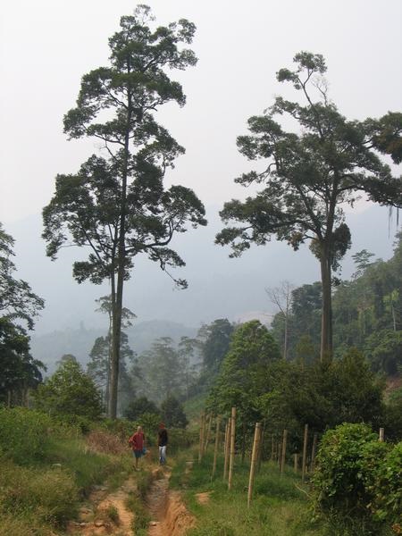 cemperoh04.JPG